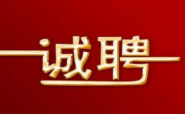 招聘节活动策划5篇