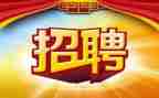 招聘招聘简历模板7篇