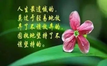 哲理故事的演讲稿8篇
