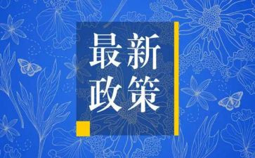 政策工作总结6篇