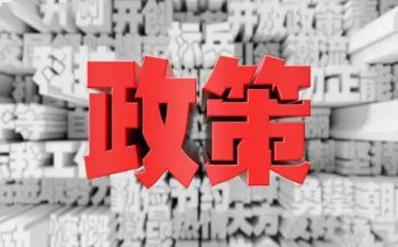 双减政策教育心得体会5篇