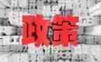 双减政策教育心得体会5篇