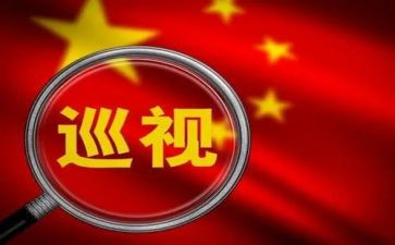 垃圾整改报告5篇