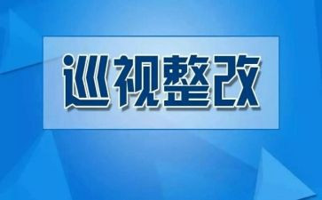 自查自纠整改报告范文8篇