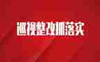 财务审计整改报告范文5篇