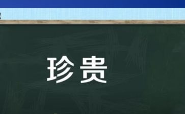 友谊更珍贵作文8篇