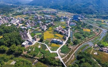 2024年农村乡村振兴工作计划5篇