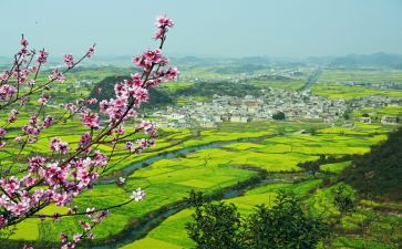 振兴乡村行心得体会优秀5篇