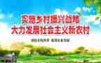 2024年乡村振兴工作总结及2024年工作计划8篇