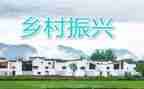 镇乡村振兴工作计划5篇