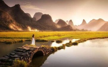 智慧教师演讲稿6篇