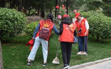 志服部述职报告5篇
