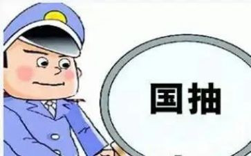 2024年质检所工作总结8篇