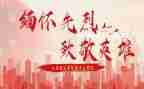 向新时代英雄致敬作文8篇