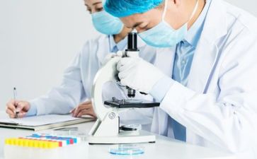 质量股年度工作总结5篇