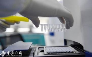 质量与安全工作计划8篇