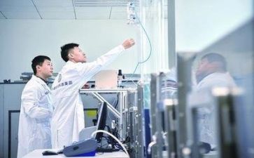 年度质量工作总结7篇