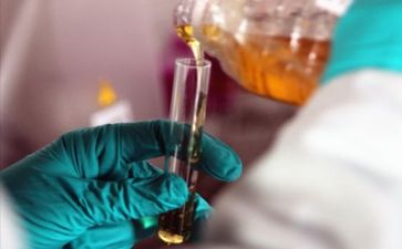 年度质量工作总结优质5篇