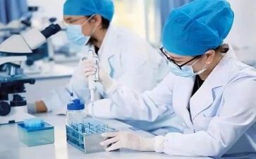 技术质量工作年度总结7篇