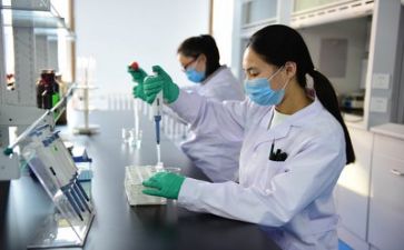 质量工作总结通用7篇