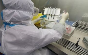 技术质量工作总结模板5篇