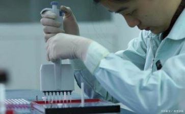 2024年质量部年度质量工作计划5篇