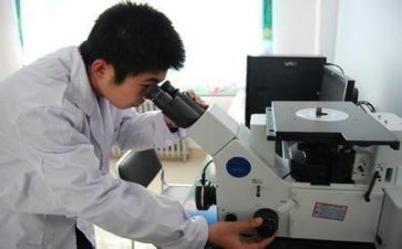 质量调查报告5篇