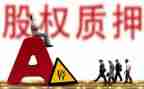 车辆质押合同模板8篇