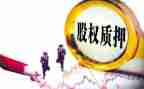 质押权和质押合同最新5篇