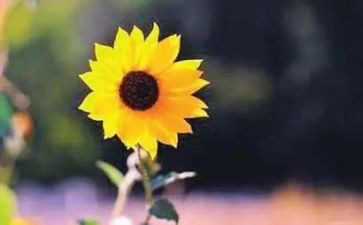 致自己演讲稿推荐8篇