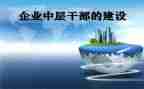中层干部干工作总结7篇