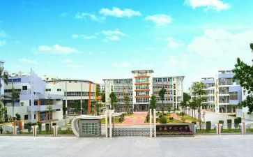 中心校年度工作计划6篇