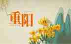 重阳活动方案策划模板5篇