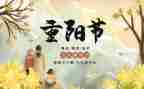 2024重阳节主题活动方案推荐8篇
