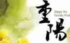 重阳节活动方案策划小学5篇
