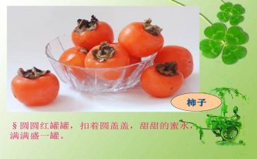 初中状物作文7篇
