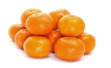橘子宝宝教案5篇