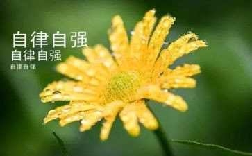 自强不息优秀作文800字6篇