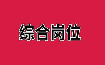 2024年综合岗工作总结5篇
