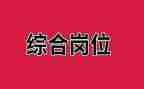 2024年综合岗工作总结5篇