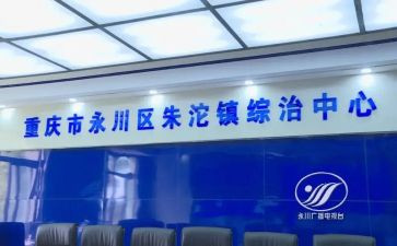 社区综治工作年度总结6篇