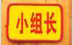 级语文备课组长工作总结6篇