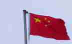 我的祖国演讲稿300字5篇