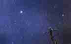 最亮的星600字作文8篇