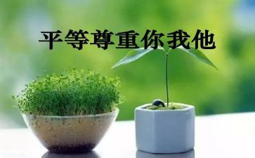 尊重为作文500字5篇