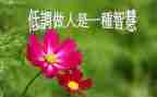 做人与作文800字8篇