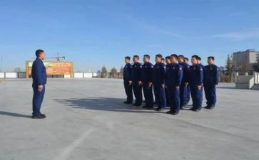 组训2024年工作总结7篇